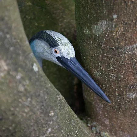 L'heure Bleue Et D'hôtes
