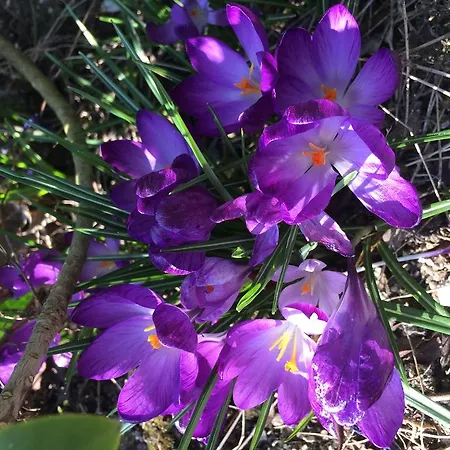 Holiday home L'heure Bleue Et D'hotes *