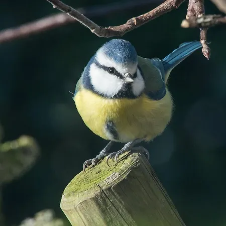 Casa de Férias L'heure Bleue Et D'hôtes