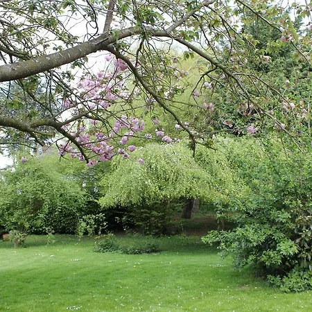 L'heure Bleue Et D'hôtes